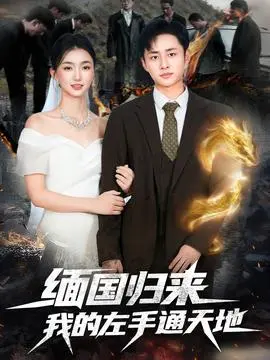 缅国归来我的左手通天地