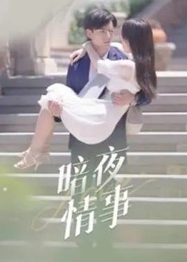 暗夜情事
