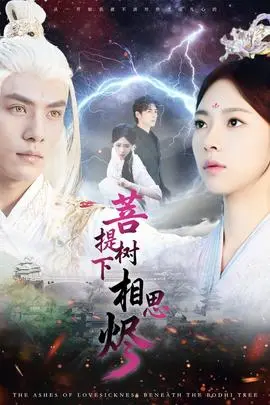 菩提树下相思烬