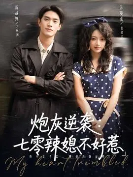 炮灰逆袭七零辣媳不好惹